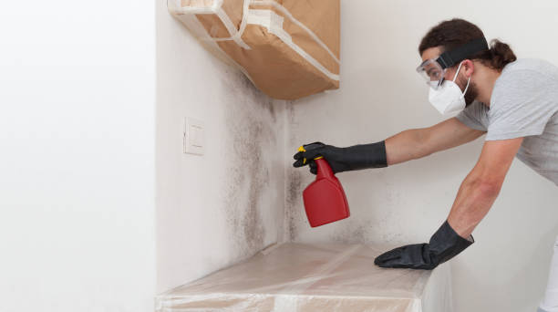 Professional Mold Cleanup technician working in Saddle River, NJ