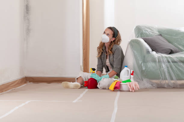 Reliable Mold Cleanup contractor in Saddle River, NJ by Cheap Mold Removal